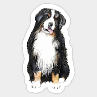 Bernese Mountain Dog Sticker